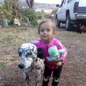 Meet your Posher, Fredi